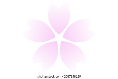 Cherry blossoms, petals with pink gradation