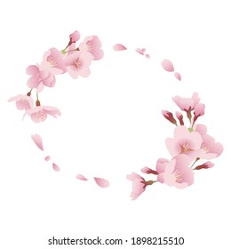 Cherry blossoms and petals. Round decorative frame. Illustration material