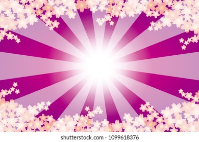 Cherry blossoms and radiant light