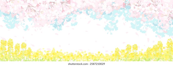 Cherry blossoms and rapeseed fields: Japanese spring landscape illustration