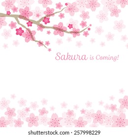 Flores de cerezo o sakura fondo