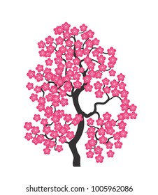 Cherry blossoms. Sakura. Cherry tree