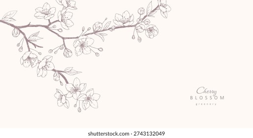 Cherry blossoms. Spring background with flowers and brunch. Detailed botanic floral collection for Valentines day invitation, wallpaper art or save the date card