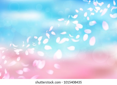 Cherry Blossoms Spring flower background