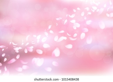 Cherry Blossoms Spring flower background
