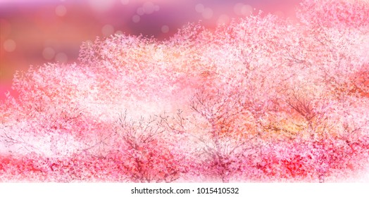 Cherry Blossoms Spring flower background