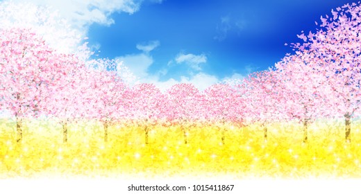 Cherry Blossoms spring flower background