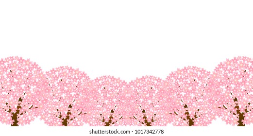 Cherry Blossoms Spring flower background