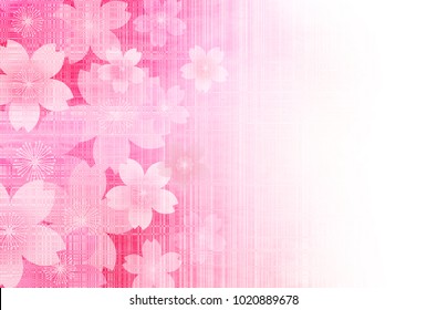 Cherry Blossoms spring flower background