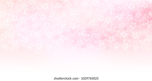 Cherry Blossoms spring flower background