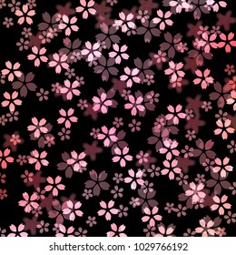 Cherry Blossoms spring flower background