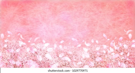 Cherry Blossoms spring flower background