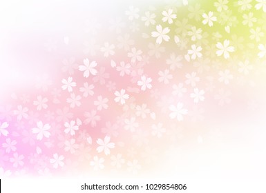 Cherry Blossoms Spring flower background