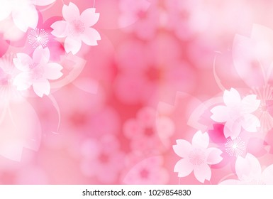 Cherry Blossoms Spring flower background
