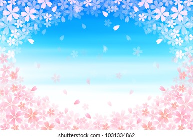 Cherry Blossoms spring flower background