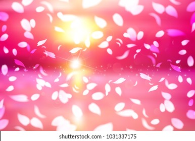 Cherry Blossoms spring flower background