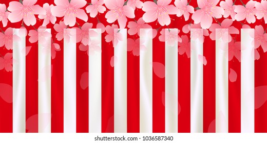 Cherry Blossoms spring flower background