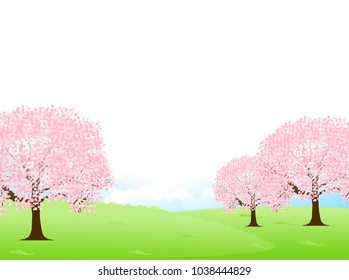 Cherry Blossoms spring flower background
