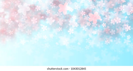 Cherry Blossoms spring flower background