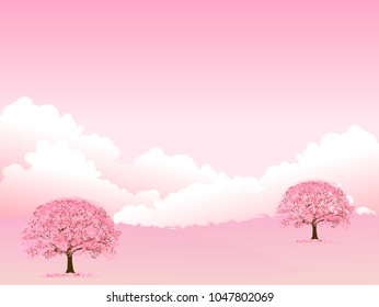 Cherry Blossoms spring flower background