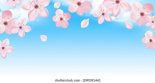 Florecimiento del cerezo Fondo floral de primavera 