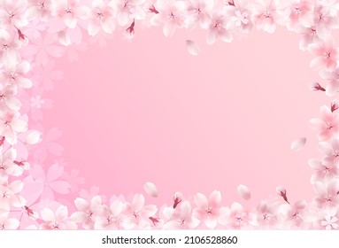Cherry blossoms spring flower background 