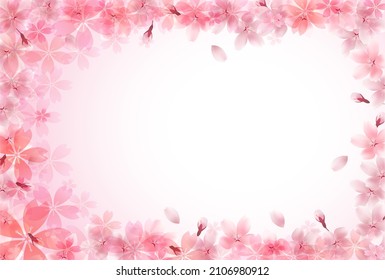 Cherry blossoms spring flower background 