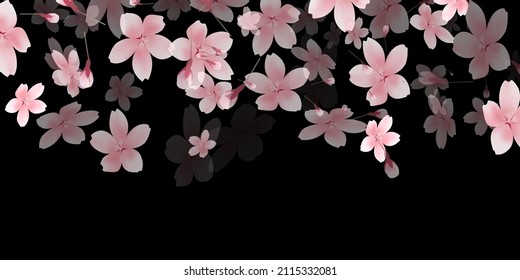 Cherry blossoms spring flower background 