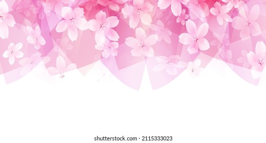Fondo de flores de primavera de cerezos