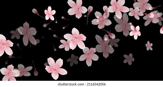 Cherry blossoms spring flower background 