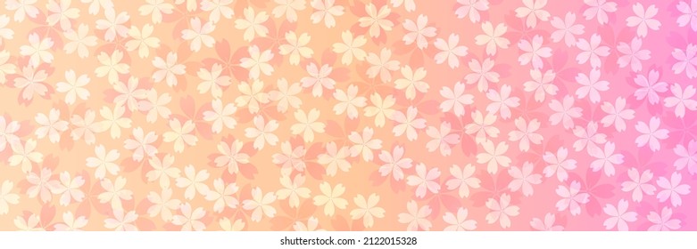 Cherry blossoms spring flower background