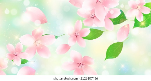 Kirschblüten Frühlingsblütenhintergrund