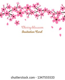 Cherry blossoms, spring flower garden vector illustration on white background ,Japanese sakura flowers, card