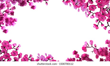Cherry blossoms, spring flower garden. Japanese sakura flowers Hanami. Vector illustration, card concept, text template. Isolated.