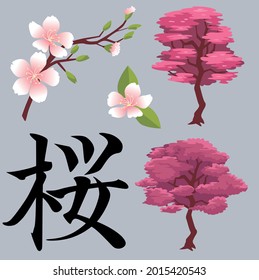 Cherry blossoms, spring flower garden vector illustration, Japanese sakura flowers, sakura tree, sakura  
hieroglyph