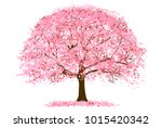 Cherry Blossoms Spring flower icon