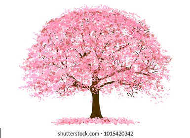 Cherry Blossoms Spring flower icon