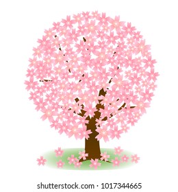 Cherry Blossoms Spring flower icon
