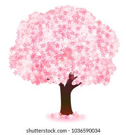 Cherry Blossoms Spring Flower Icon