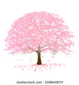 Cherry Blossoms Spring Flower Icon