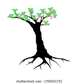 Cherry Blossoms Spring flower icon