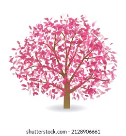 Cherry Blossoms spring flower icon 