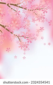 Cherry Blossoms Spring Japanese Pattern Background