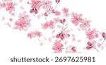 Cherry Blossoms Spring Landscape Background