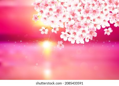Cherry blossoms  spring landscape background 