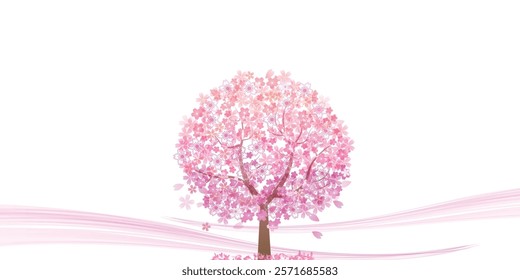 Cherry Blossoms Spring Landscape Background