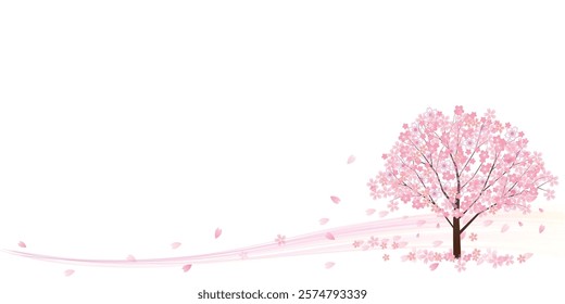 Cherry Blossoms Spring Landscape Background