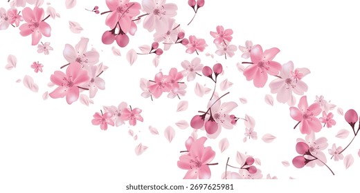 Plano de fundo da paisagem da primavera das flores de cereja