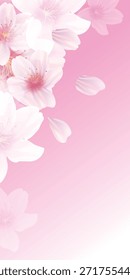 Plano de fundo da paisagem da primavera das flores de cereja