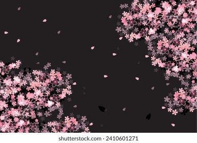 Cherry Blossoms Spring Petals Background